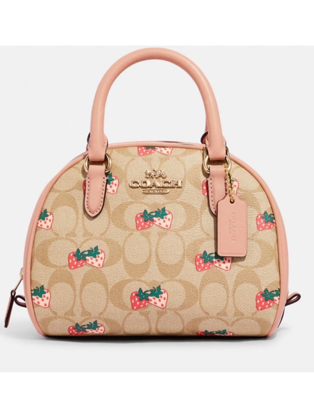 Coach Satchel